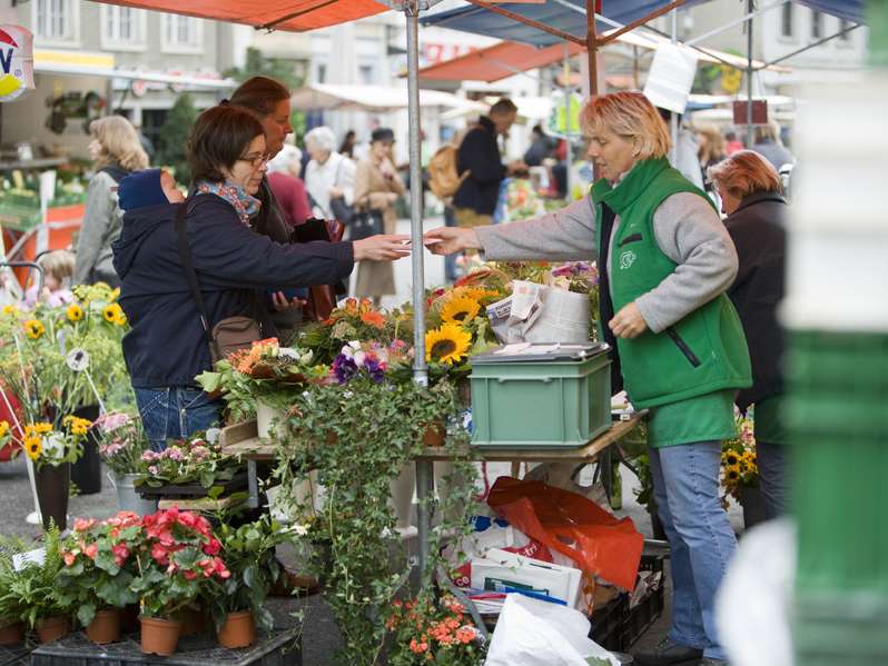 Quartiermärkte in Wülflingen, Wyden, Veltheim